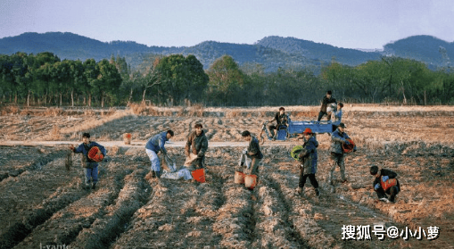 皇冠信用网登2_《种地吧2》再登白玉兰舞台:做大做强不止说说而已