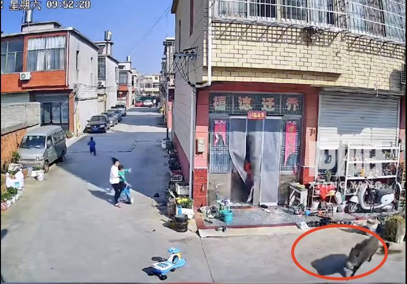 皇冠信用網出租_不是上海皇冠信用網出租!不是上海!不是上海!最新:已被特警击毙