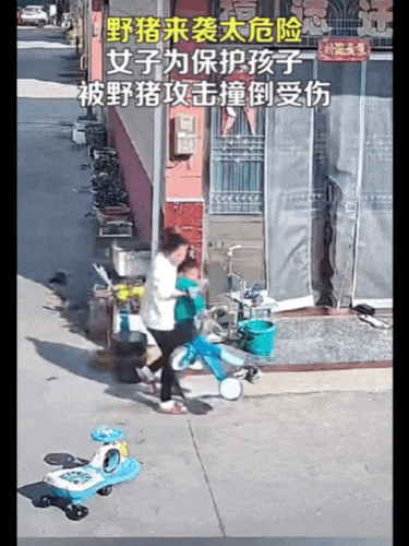 皇冠信用網出租_不是上海皇冠信用網出租!不是上海!不是上海!最新:已被特警击毙