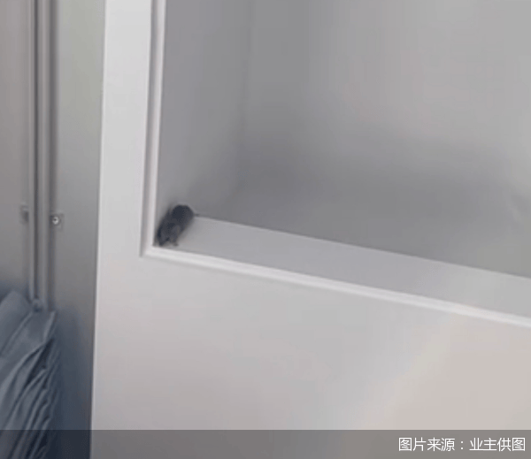 皇冠信用網申请条件_老鼠乱窜、直饮水发黄皇冠信用網申请条件,北京业主千万元买的和锦诚园居然是这样