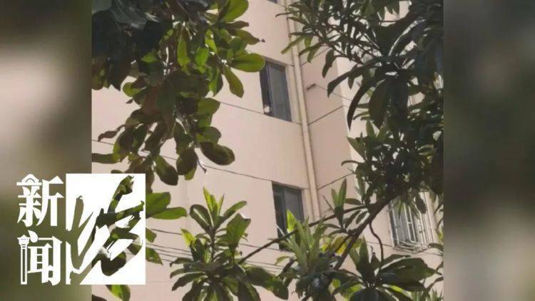 皇冠信用網登2代理
_被折磨到崩溃!上海一九旬老太每天定时“输出”皇冠信用網登2代理
,邻居被迫“魔法打魔法”