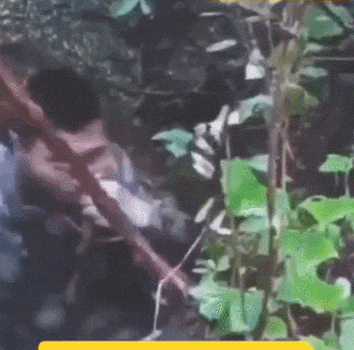 皇冠信用网怎么申请
_近日曝光!被印军包围皇冠信用网怎么申请
,两名落单解放军嘴咬手雷,誓死不当俘虏