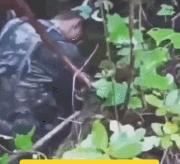 皇冠信用网怎么申请
_近日曝光!被印军包围皇冠信用网怎么申请
,两名落单解放军嘴咬手雷,誓死不当俘虏